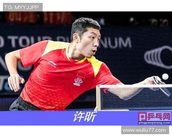 上海乒乓球队整体压制革新之路探索与未来展望