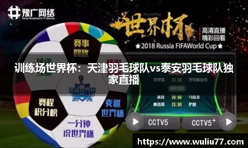 训练场世界杯：天津羽毛球队vs泰安羽毛球队独家直播